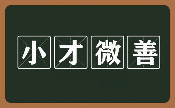 日记 [2006年08月15日]小才微善